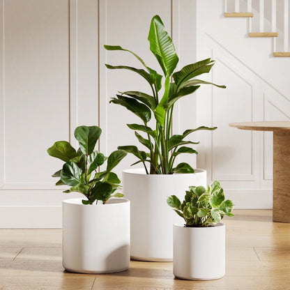 6+8+10 Inch Plant Pots, Ceramic Flower Pots for Plants, Raised Dots Planter Pots for Home/Office, Indoor Planters with Drainage Hole and Plug, Glaze Arctic White F Lower Pots